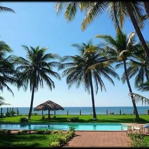 Meet your Posher, Walter